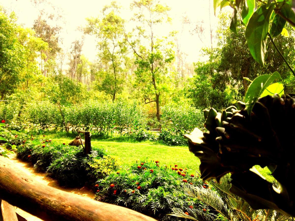 Roshnai Village Resort Bolpur Ngoại thất bức ảnh
